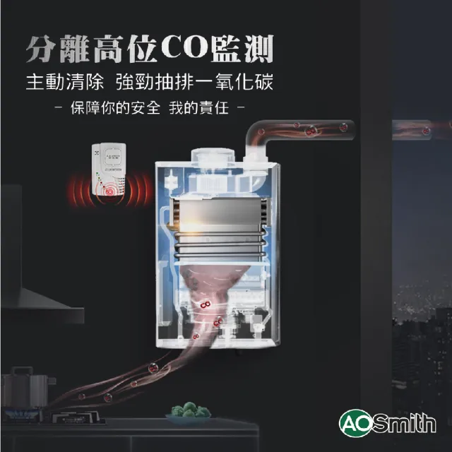 【A.O.Smith】AO史密斯 不鏽鋼瓦斯熱水器16L (JSQ31-ST16T NG1/FE式 含基本安裝 適用天然氣)