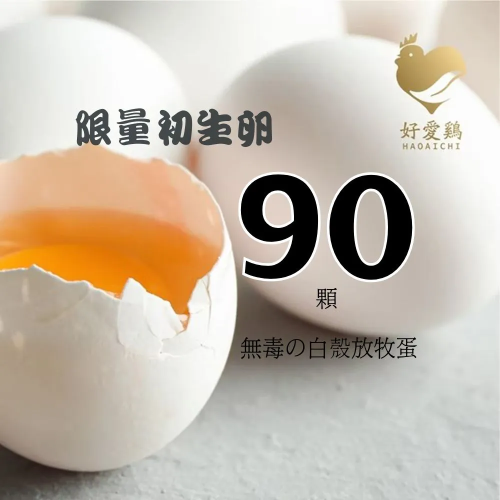 【HAOAICHI 好愛雞】限量初生卵 無毒の白殼放牧蛋 大家庭3盒 共90顆組(30顆/盤)非籠飼無藥殘無毒 雞蛋