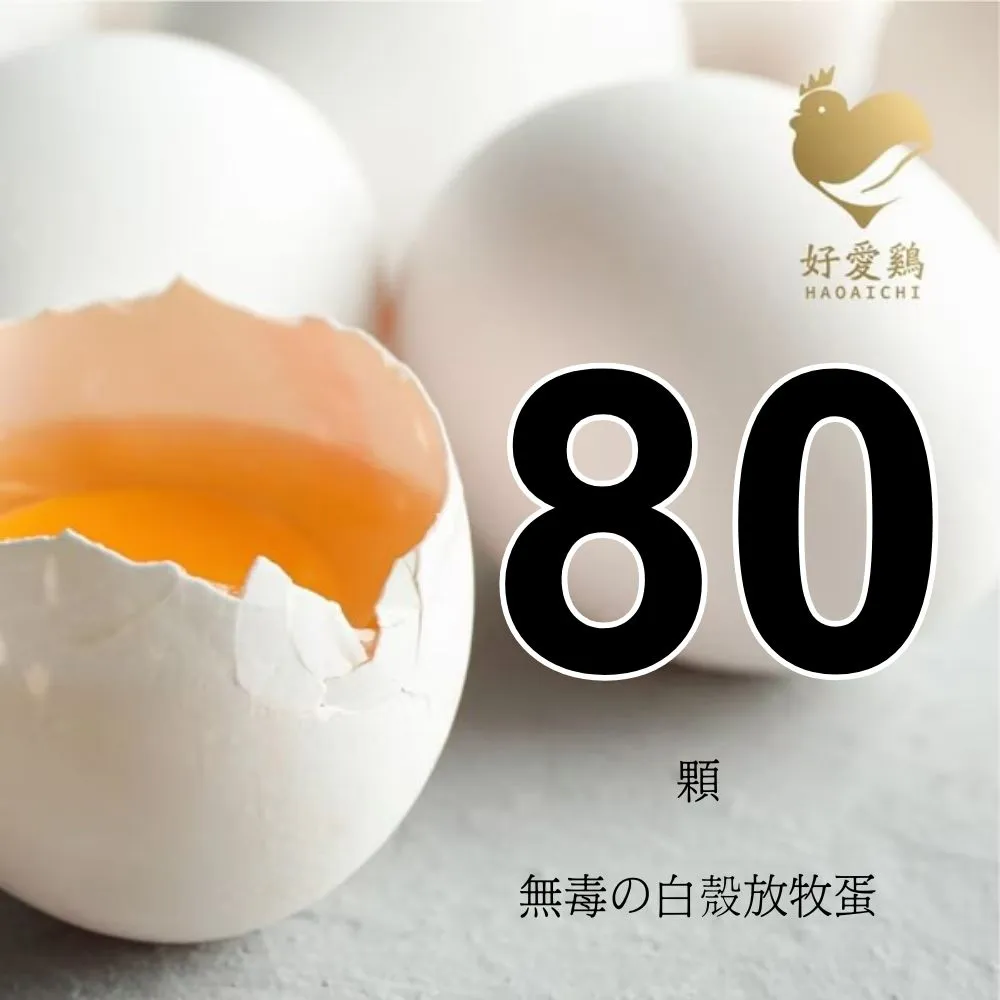 【HAOAICHI 好愛雞】無毒の白殼放牧蛋 大家庭8盒 共80顆(10顆/盒) 非籠飼 無藥殘 無毒飼料 雞蛋