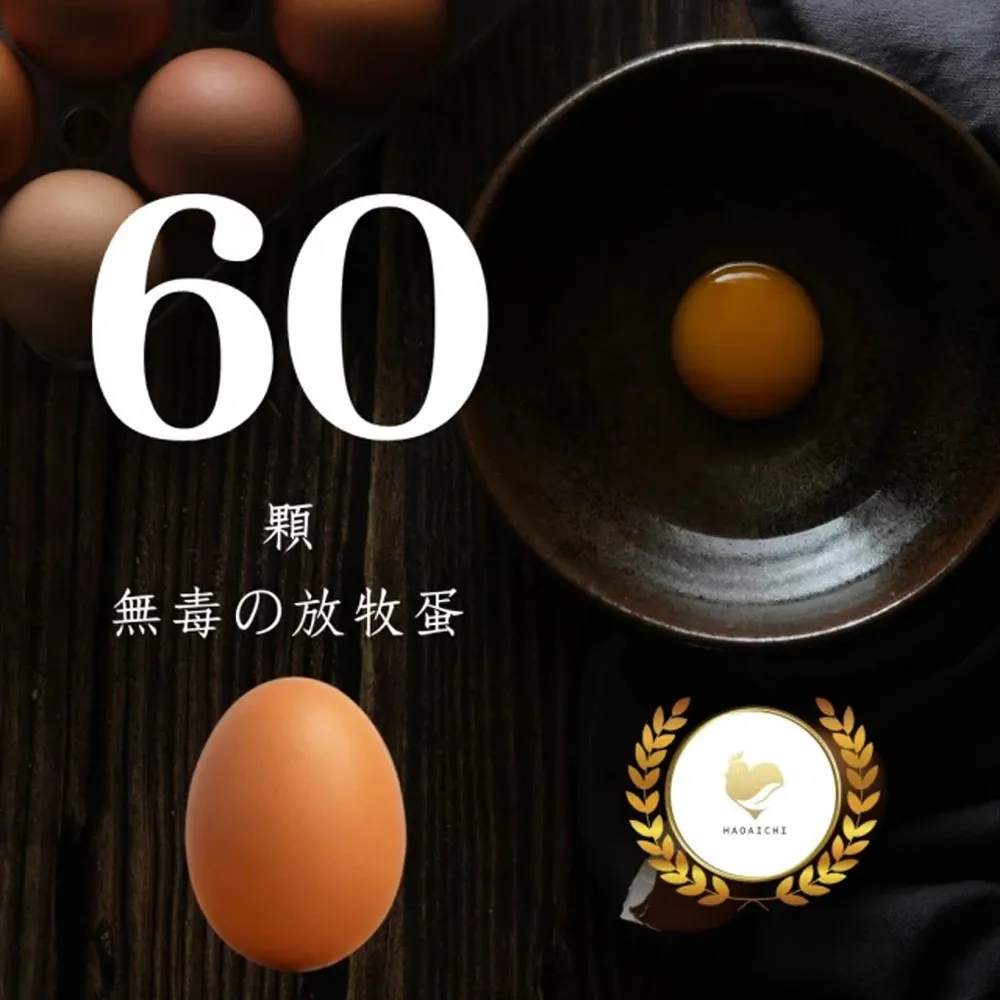 【HAOAICHI 好愛雞】無毒の放牧蛋 紅殼 中家庭6盒 共60顆(10顆/盒)非籠飼 無藥殘 無毒飼料 雞蛋