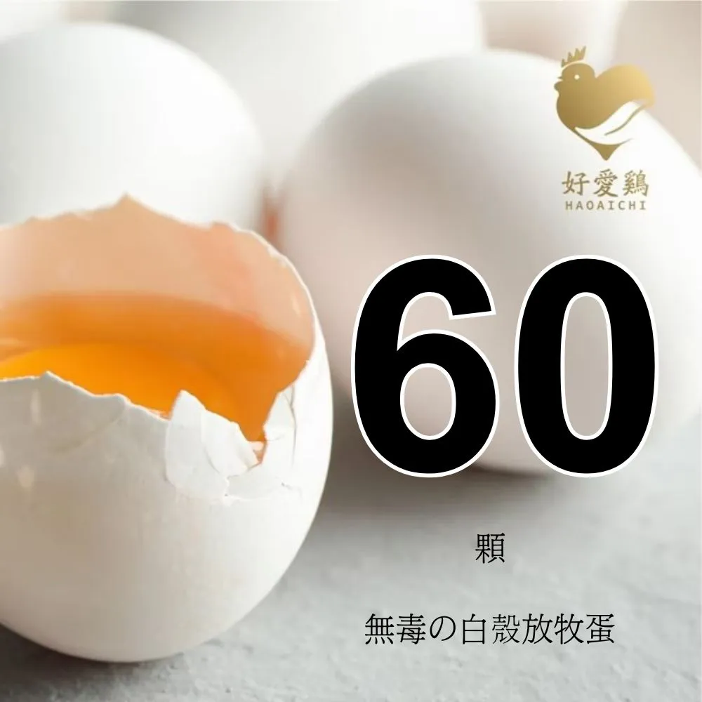【HAOAICHI 好愛雞】無毒の白殼放牧蛋 中家庭6盒 共60顆(10顆/盒) 非籠飼 無藥殘 無毒飼料 雞蛋