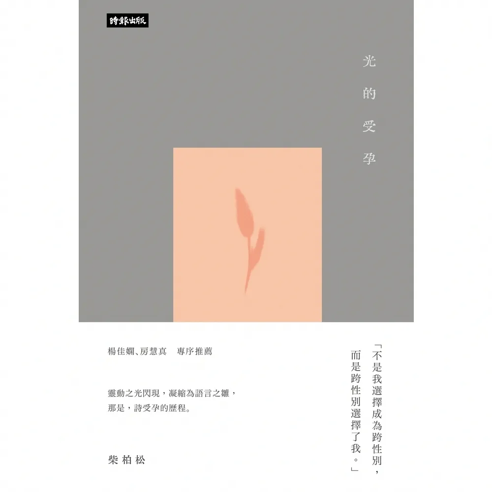 【momoBOOK】光的受孕(電子書)