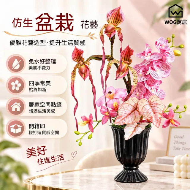 【窩居】仿真蘭花 桌面花藝 客廳擺飾 花藝擺件 居家擺飾 高級感花藝 蘭花擺飾（白綠）
