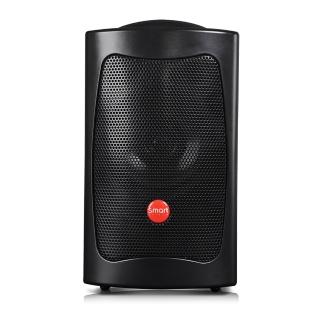 【CHIAYO 嘉友】無線錄放擴音機(SMART 300)