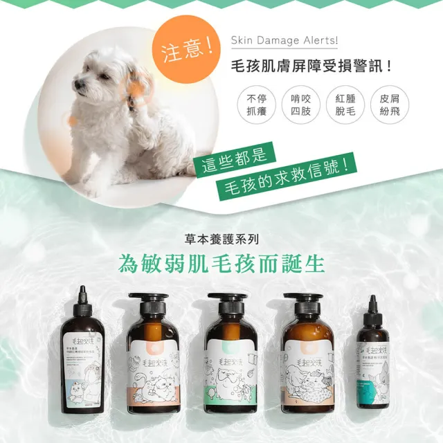 【MAOUP 毛起來】草本養護 癢癢退散寵物洗毛精汪汪專用500ml+速乾超吸水柔膚手套毛巾(狗洗毛精 狗沐浴乳)