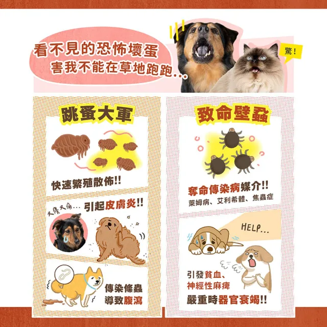 【MAOUP 毛起來】草本養護 寵物蚤蟲高手防護噴霧220ml+補充瓶220ml(寵物防蚤噴霧 狗貓除蚤 防跳蚤)