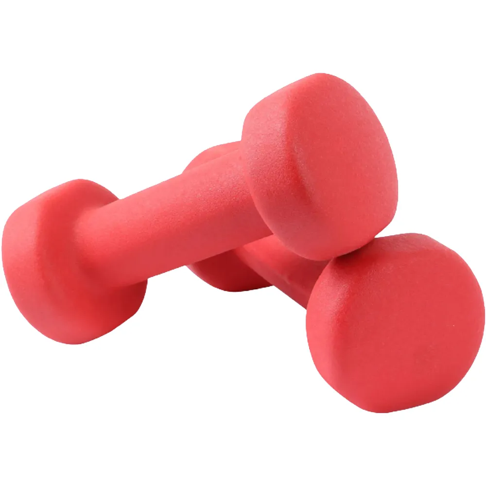 【樂茲赫LEZER】包膠啞鈴0.75公斤x2支(居家健身 肌肉鍛鍊 重量訓練)