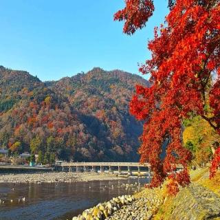 【喜鴻假期】★京楓漫旅５日★京都賞楓-清水寺、和服體驗、合掌村、金閣寺、勝尾寺、錦市場、螃蟹喫到飽