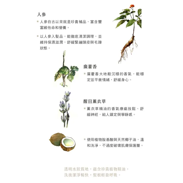 【阿原】人參洗頭水500mL*2(洗髮精)(清潔同時保養)