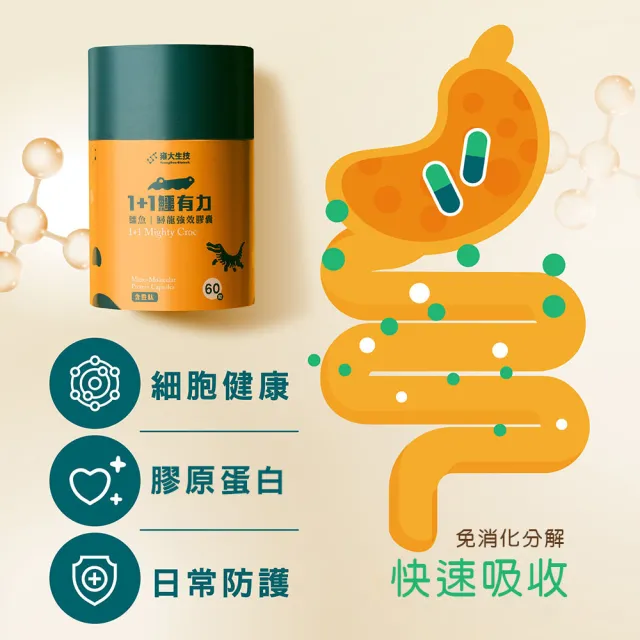 雍大生技｜1+1鱷有力｜軟骨素｜鱷魚鱘龍強效膠囊 (60粒/盒)