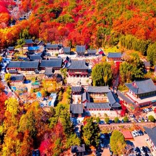 【喜鴻假期】★不進人參保肝．楓趣釜山５日★紅流洞溪谷、海印寺、慶州賞楓、八公山纜車
