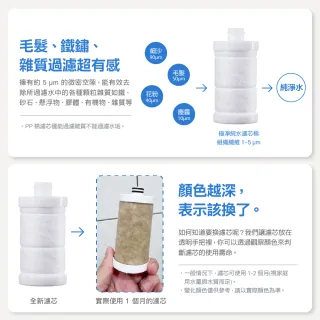 【CAESAR 凱撒衛浴】沐浴龍頭 / 免治馬桶專用 極淨純水過濾器濾芯 6 入組( PP過濾綿＋亞硫酸鈣除氯)