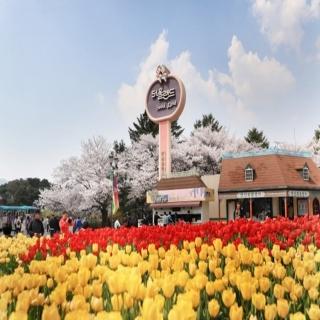 【喜鴻假期】★不進人參保肝．想飛首爾５日★衿井萬豪AC酒店、樂天世界、海陸饗宴、首爾大公園
