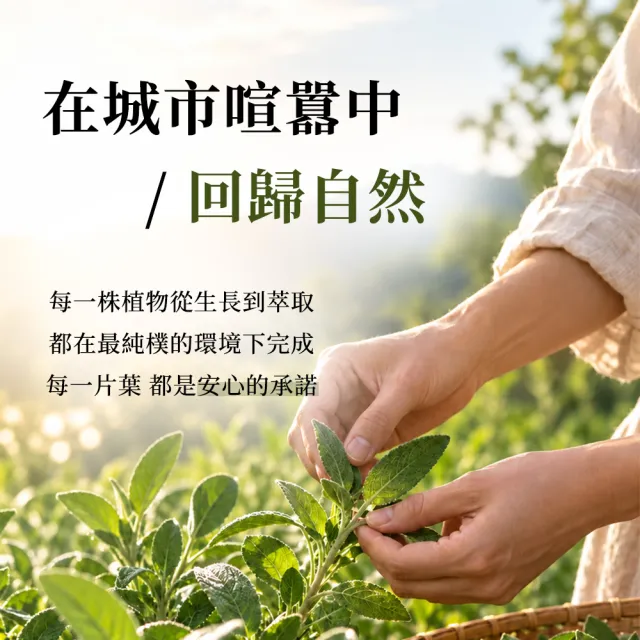 【捷克國寶菠家】玫瑰臉部亮白菁華霜x1(50g/瓶)