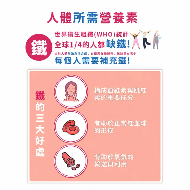 【永信藥品】綜合維他命B群+鐵錠3瓶組(90錠/瓶)