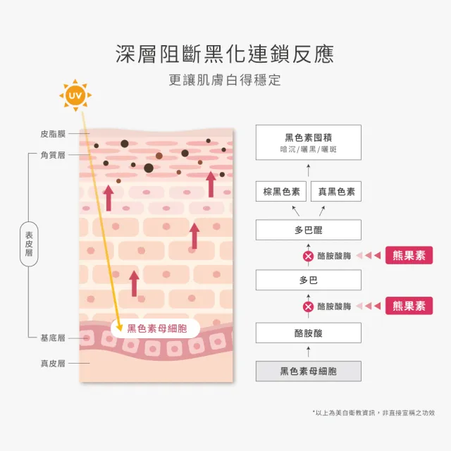 【荷麗美加】長效褪黑 WHITE全效美白方程式水凝乳 30ml(美白/淡斑/硫辛酸/菸鹼醯胺/熊果素)