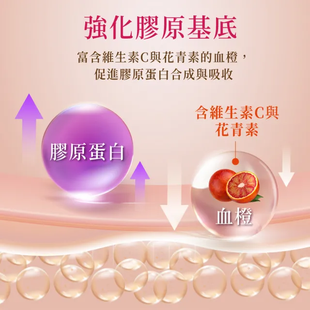 【老行家】凝粹燕窩飲禮盒(14瓶/盒)(保健禮盒/鱸魚胜飲)