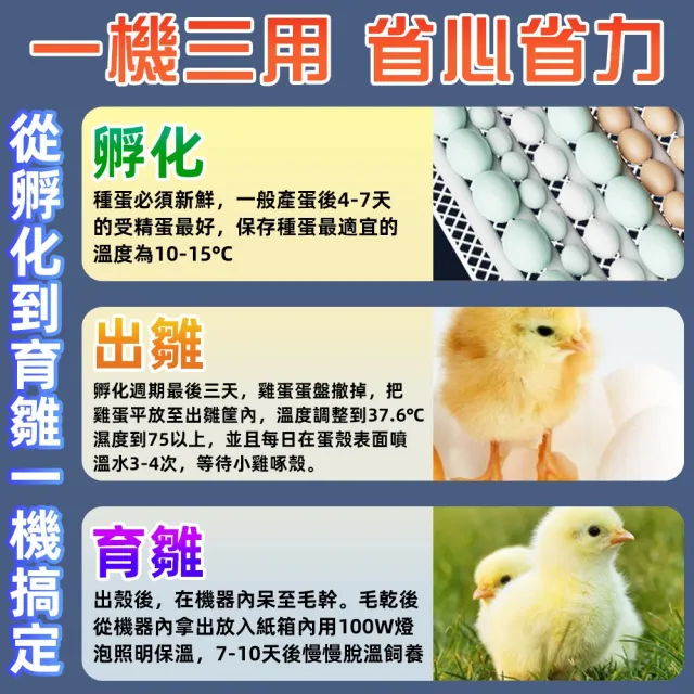 【艾嘉圖】孵化機 全自動孵化機 家用孵化機 智能孵化機 12枚孵化器 孵蛋機 小型孵化機 溫控孵化器