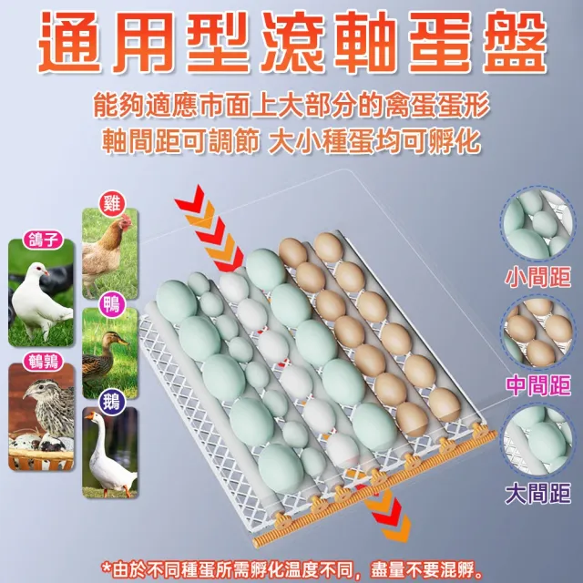 【艾嘉圖】孵化機 全自動孵化機 家用孵化機 智能孵化機 12枚孵化器 孵蛋機 小型孵化機 溫控孵化器