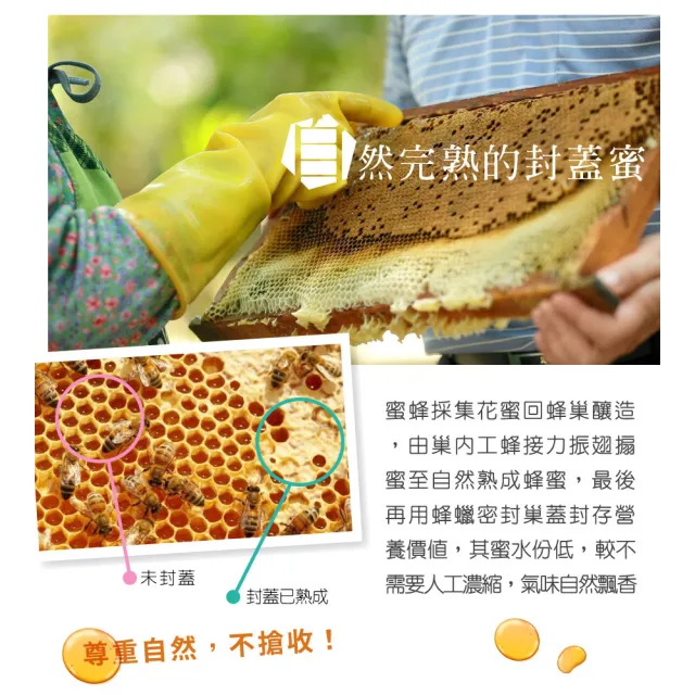 【情人蜂蜜】吉伊卡哇-台灣蜂蜜700gx3入特惠組(台灣限定販售)