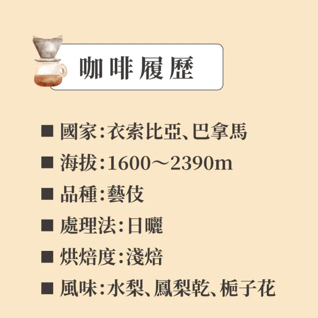 【想望咖啡】晴梨嶼．藝伎特調 掛耳包（淺焙）｜水梨、鳳梨乾、梔子花  (10入x1盒)