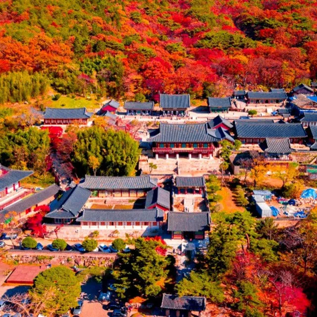 威風釜慶邱賞楓五日-八公山、金井山城、梵魚寺、東萊鄉校、加耶公園、海岸列車、塗鴉秀