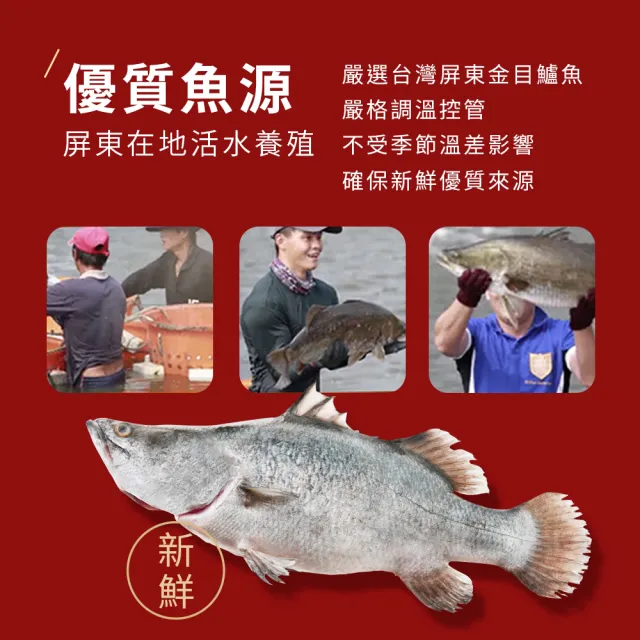 【HomeDr.】一開即飲小分子胜月太鱸魚精x2盒(60mlx6瓶/盒 共12瓶 年節送禮 常溫保存 滋補強身)