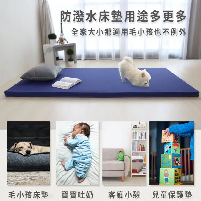 【BEARBED 熊棉】「台灣製」單人厚度5cm 防潑水 3x6尺 彈力床墊 防潑水輕巧彈力床墊