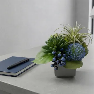 【HUGO DECO 榆果傢飾】空氣鳳梨多肉香氛植栽(擬真植物/人造盆栽/綠化/佈置/禮物)