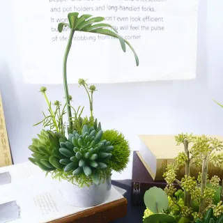 【HUGO DECO 榆果傢飾】春雨葉多肉草球香氛植栽(擬真植物/人造盆栽/綠化/佈置/禮物)