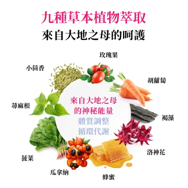【vigoway 威客維】醇萃活鐵補精4入組 (15ml*10支/盒)