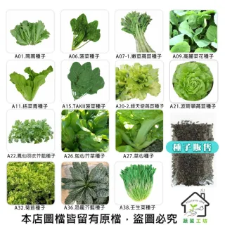 【蔬菜工坊】新手秋冬可栽培短期收成葉菜類種子系列(各包裝數量詳見內文及圖片)