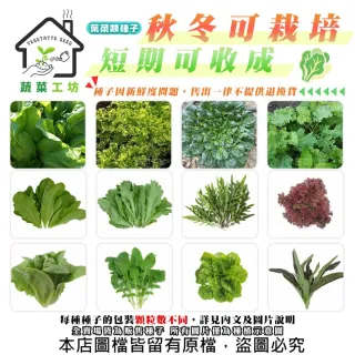 【蔬菜工坊】新手秋冬可栽培短期收成葉菜類種子系列(各包裝數量詳見內文及圖片)