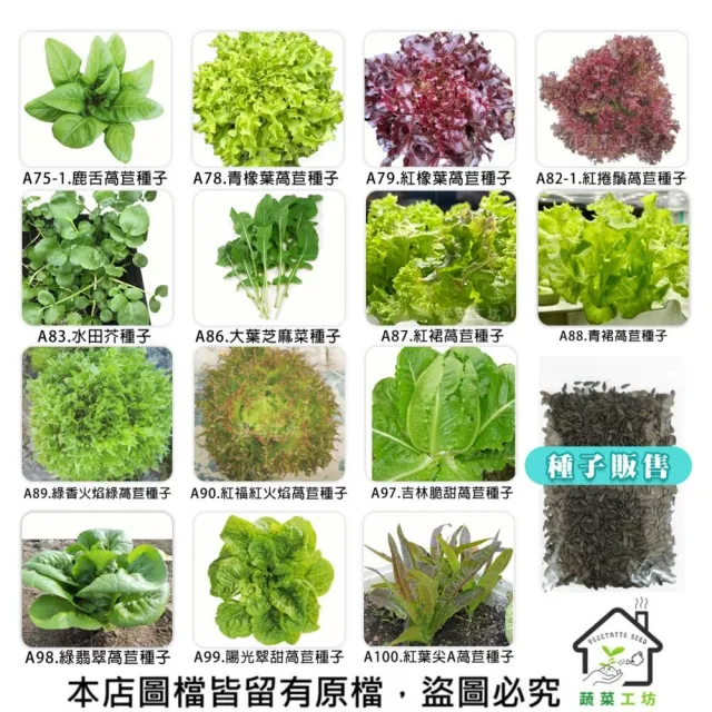 【蔬菜工坊】新手秋冬可栽培短期收成葉菜類種子系列(各包裝數量詳見內文及圖片)
