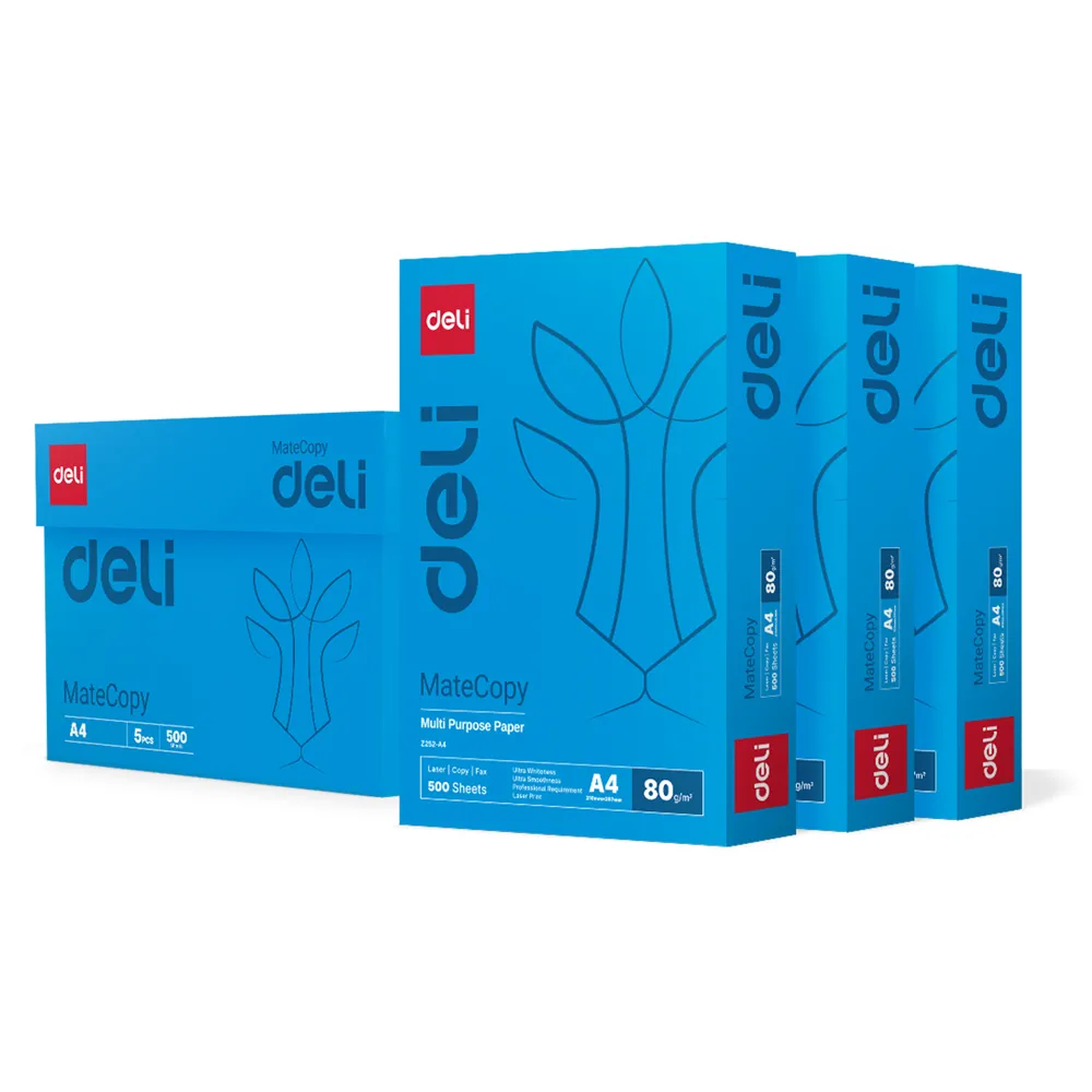 【Deli 得力】MATE Copy 多功能影印紙 A4/80g/500張(2箱促銷組)