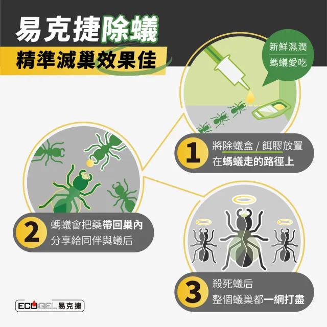 【ECOGEL 易克捷】歐洲原裝除蟑/除蟻餌膠10公克x1入任選(含苦味劑防誤食 蟑螂藥螞蟻藥)