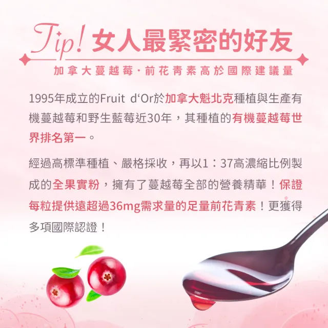【人可和】蔓越莓益生菌-80mg前花青素+13種香香益生菌｜女性呵護效益遠高於優鮮沛｜永豐集團