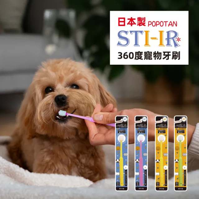 【美好寵商】POPOTAN波波坦 360度寵物牙刷2入組 (寵物牙刷 狗牙刷 貓牙刷 全方位牙刷)