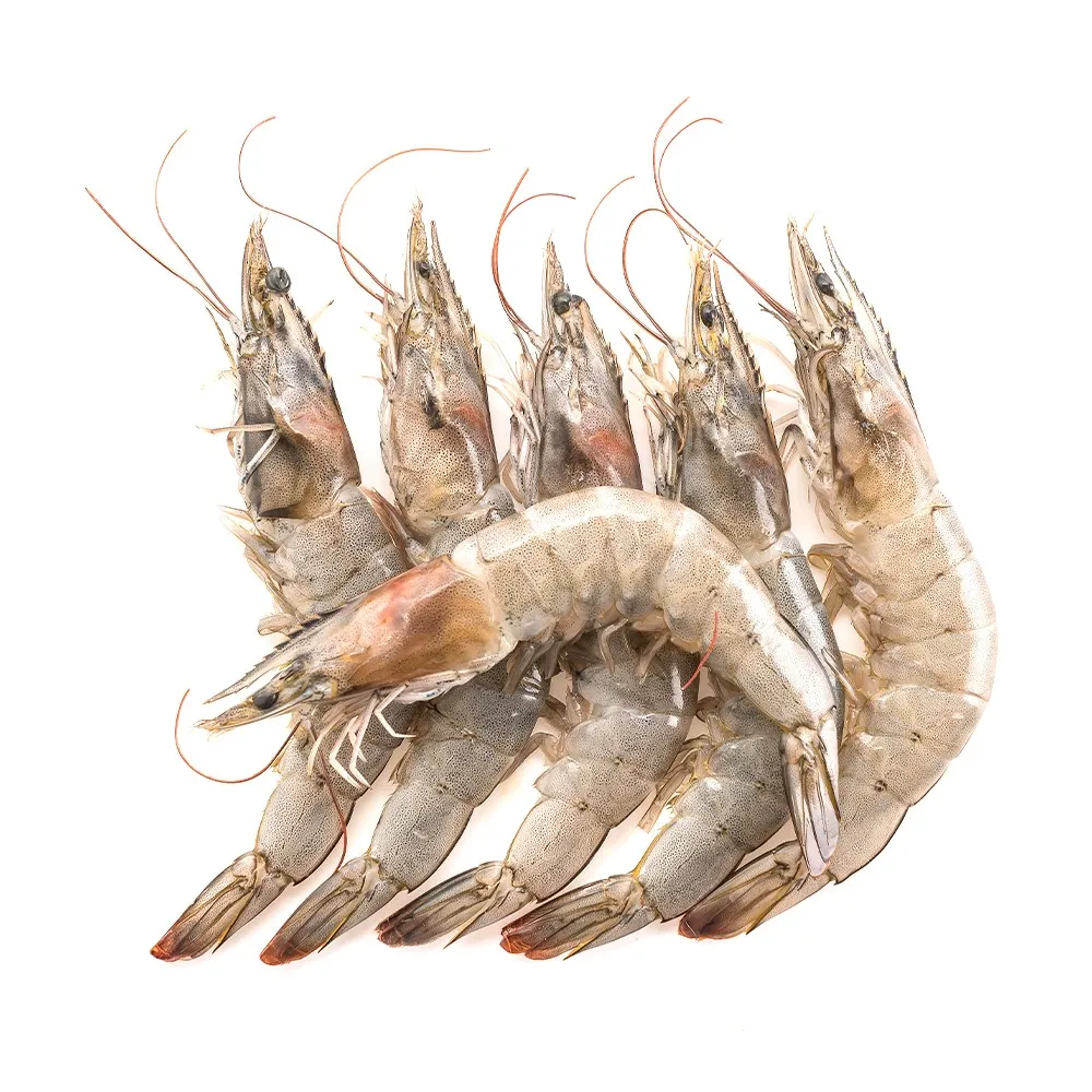 【三頓飯x買2送2】嚴選鮮凍草蝦x2盒(送扇貝肉1kg/包 x2包)