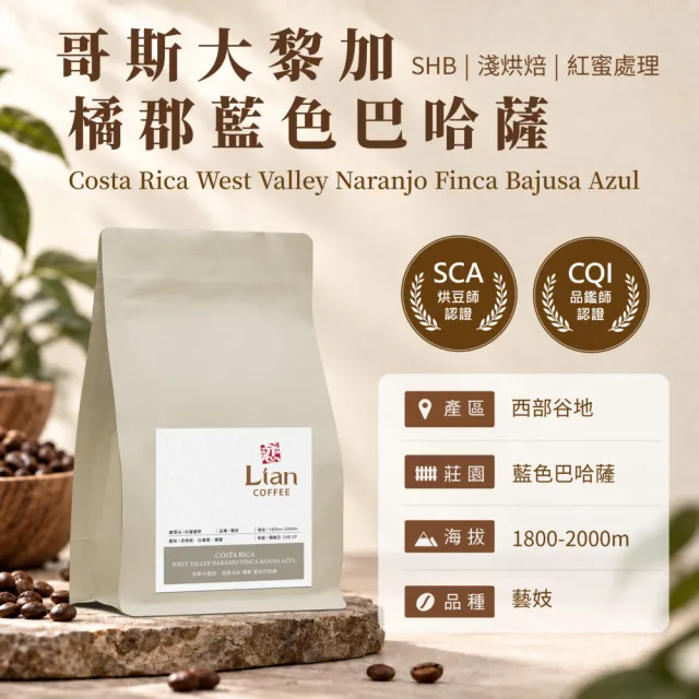 【戀】哥斯大黎加 西部谷地 橘郡 藍色巴哈薩 藝妓 SHB EP 紅蜜處理 淺焙精品咖啡豆(227g/袋)