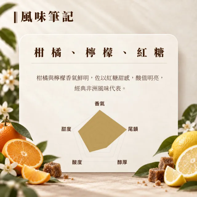【戀】衣索比亞 耶加雪菲 原生種 G2 水洗 淺焙精品咖啡豆(227g/袋)