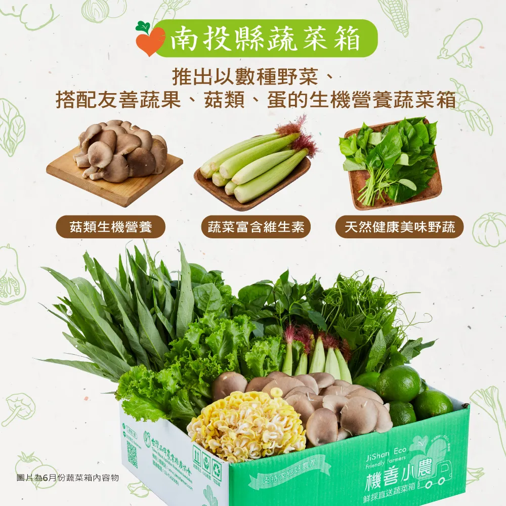【機善小農】蔬菜箱_南投縣_經濟箱9件(每週出箱)(有機友善/鮮採直送/安心健康/支持家鄉好農產)