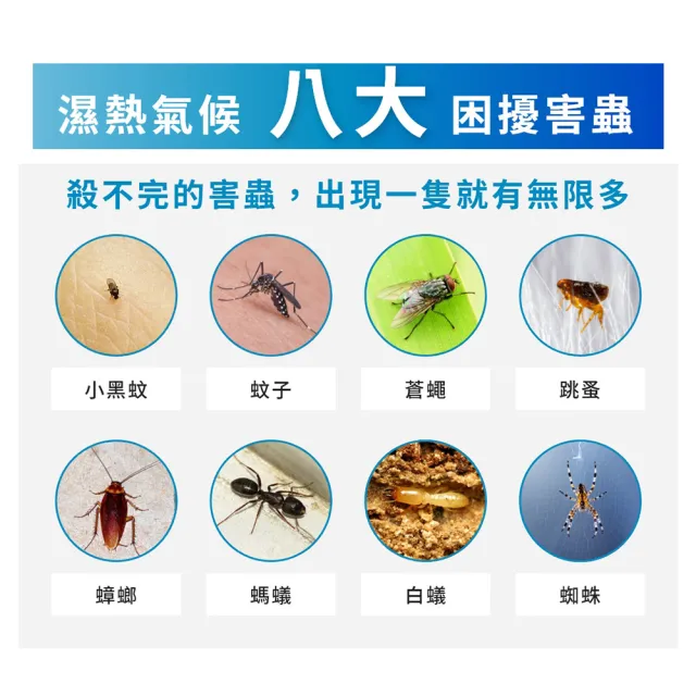 【福來朗】水性除蟲噴霧-補充瓶500ml｜殺蟲劑｜滅蟑｜除蟻｜滅蚊｜蛾蚋｜跳蚤｜居家除蟲