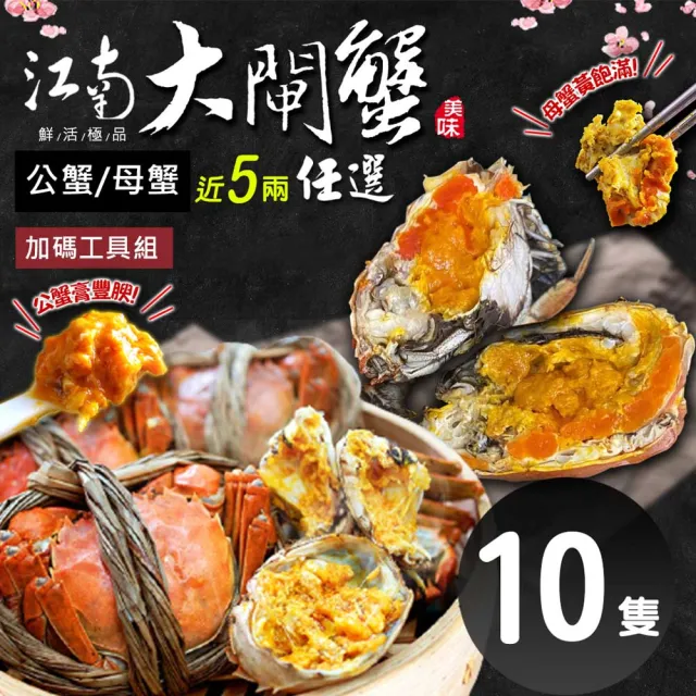 【築地一番鮮】(公母任選)近5兩大閘蟹 10隻組/贈工具組/江南大閘蟹