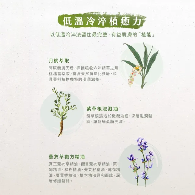 【阿原】紫草柔順洗髮露-500mL(清潔同時保養)