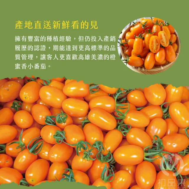 【初品果】高雄美濃達哥橙蜜香小番茄禮盒4斤x1盒(含箱重_送禮/禮盒/水果禮盒)