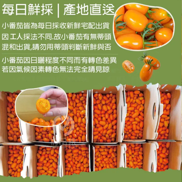 【初品果】高雄美濃達哥橙蜜香小番茄禮盒4斤x1盒(含箱重_送禮/禮盒/水果禮盒)
