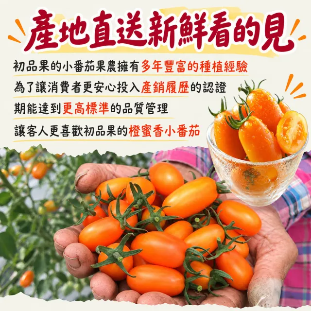 【初品果】高雄美濃達哥橙蜜香小番茄禮盒3斤x4盒(送禮/禮盒/水果禮盒_春節禮盒_產銷履歷_季節限定)