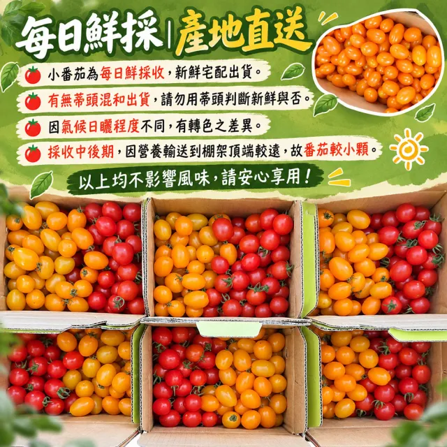 【初品果】美濃達哥雙色橙蜜香小番茄3斤x8盒(紅蜜+橙蜜金瑩_產銷履歷_送禮/禮盒/水果禮盒)