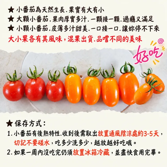 【初品果】美濃達哥雙色橙蜜香小番茄3斤x1盒(紅蜜+橙蜜金瑩_產銷履歷_送禮/禮盒/水果禮盒)